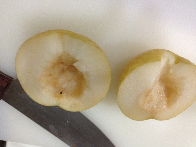 [Max Lu ���������]�������������