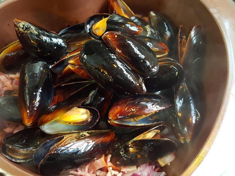 ����Ģ��������ڵ�����