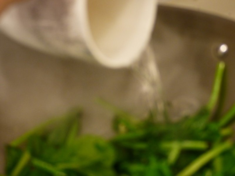 ����Ϻ�������