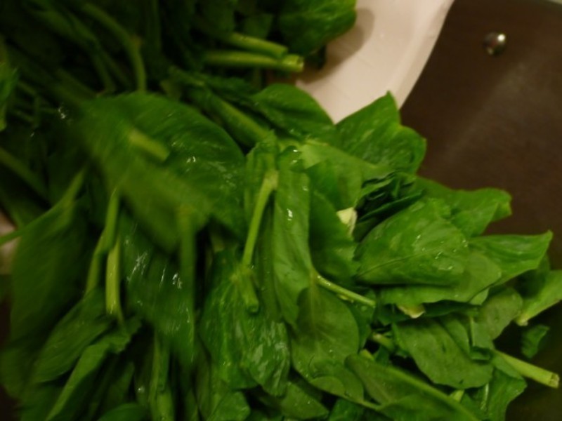 ����Ϻ�������