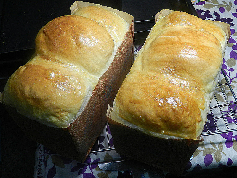 Ҭ��â����˾������