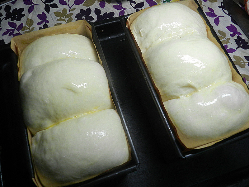 Ҭ��â����˾������