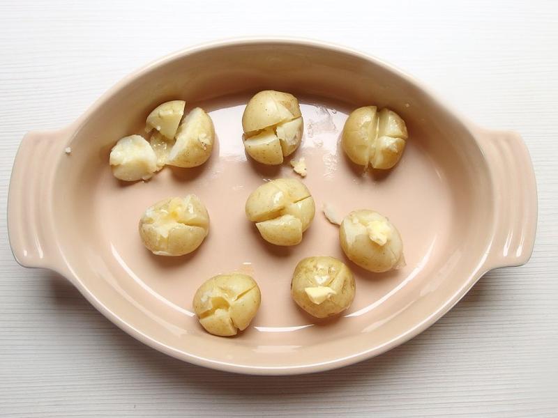 ���h��������������������