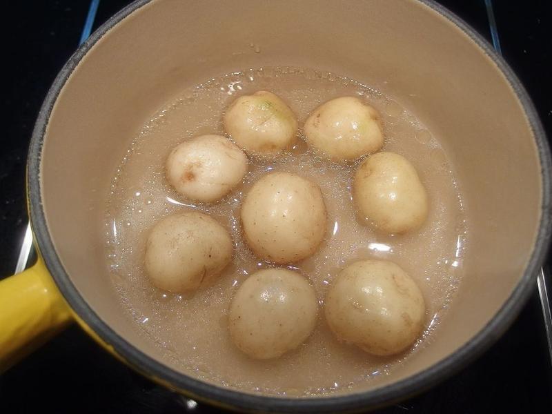 ���h��������������������