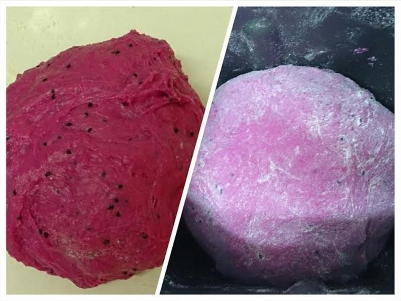 ��������˾�������)������