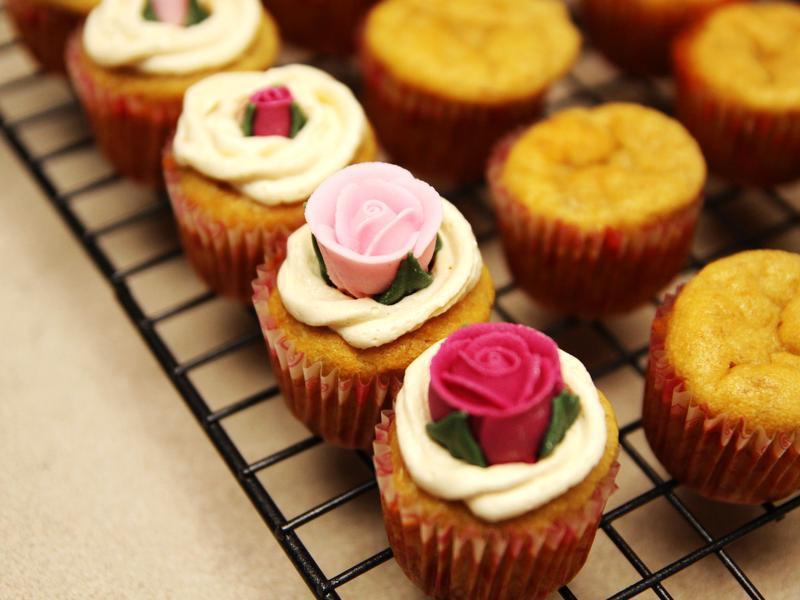 ���㻨�������ӵ��������