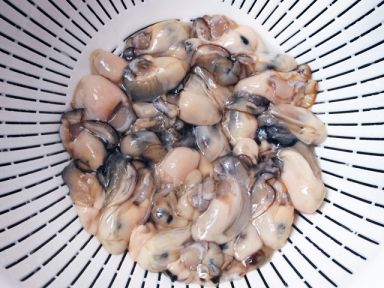 ����ʳ�� - ����������