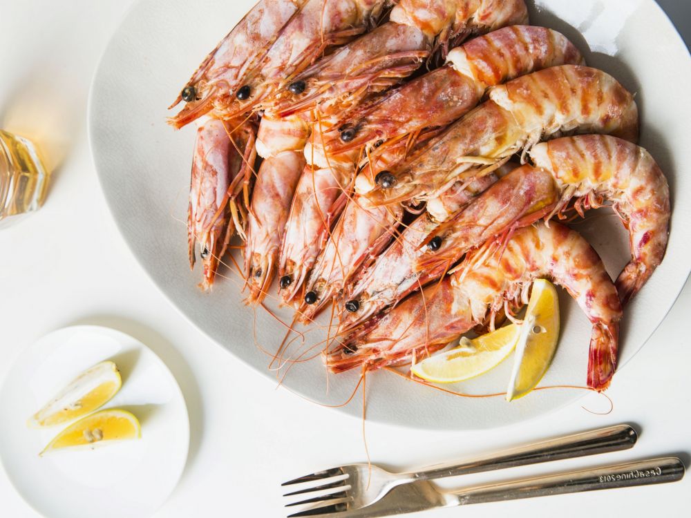 ����Ϻ������