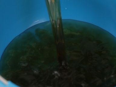 ����Ϻ������