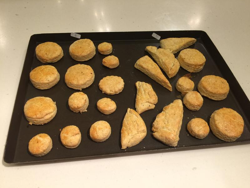 �����˾˾��������