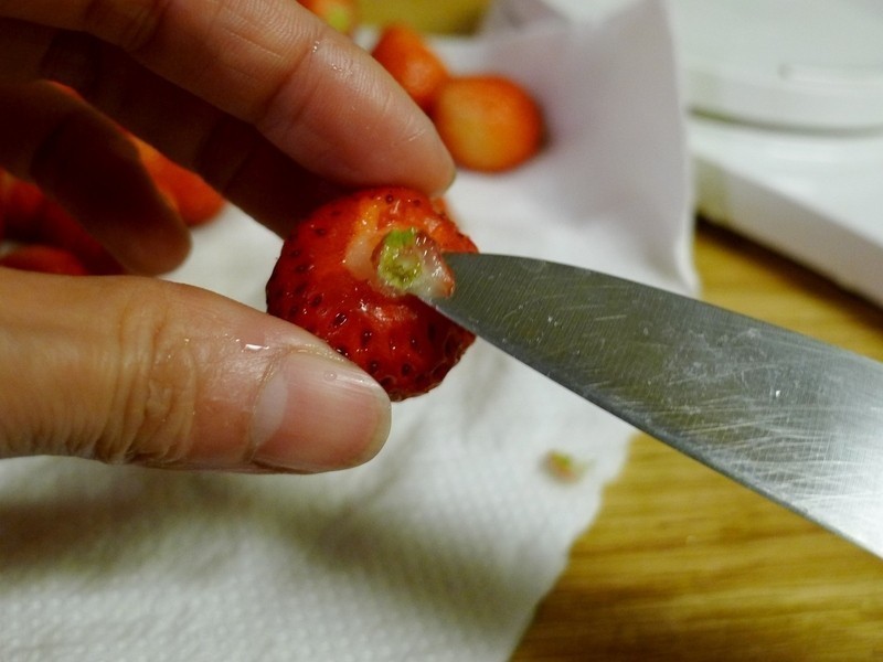 ������ݮ����������