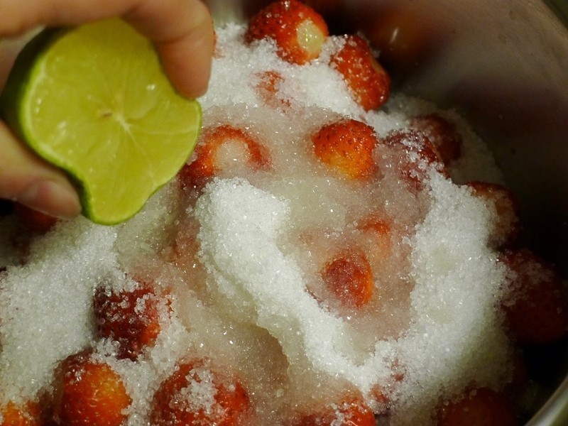 ������ݮ����������