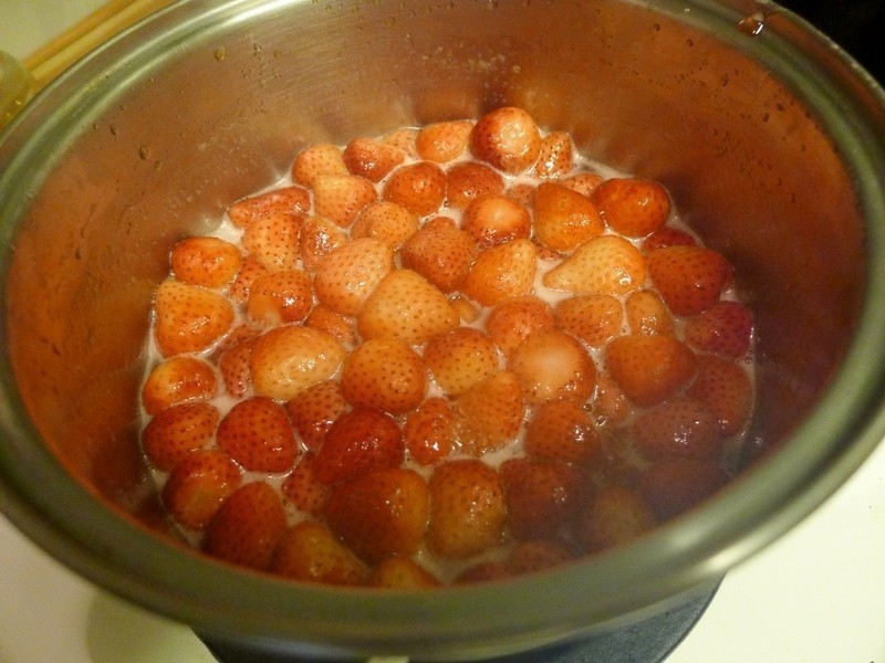 ������ݮ����������