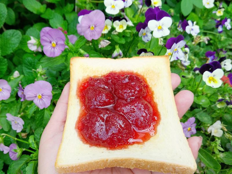 Ũ���й����Ĳ�ݮ����������