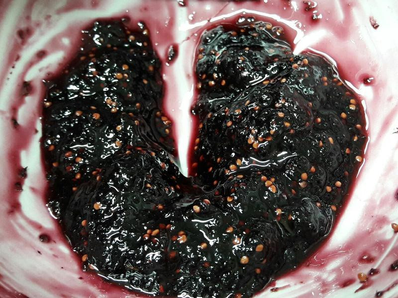 É£ÝØ¹û½´¿ìËÙDIYµÄ×ö·¨