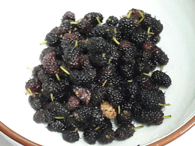 ɣ�ع�������DIY������