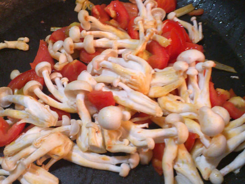 ����ѩ�׹�������������