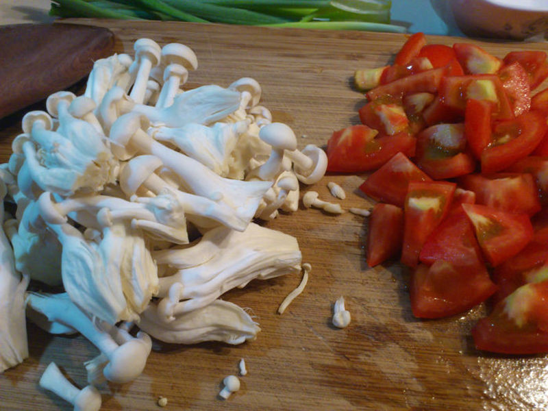 ����ѩ�׹�������������