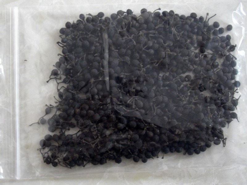 �����㹽����������