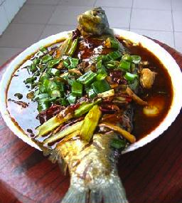 �������������