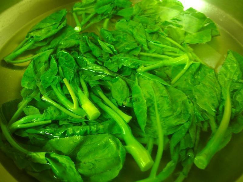 ����ţ��������ţͷ�ƿ�����ʳ����������