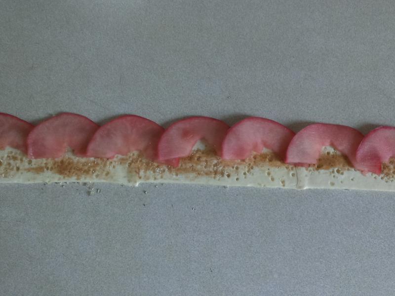 ���ƻ������������