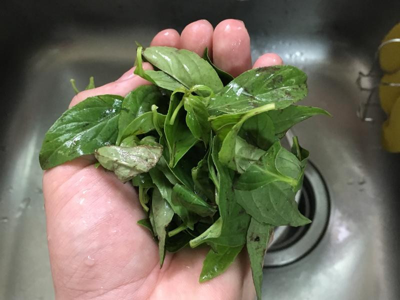 ����������������