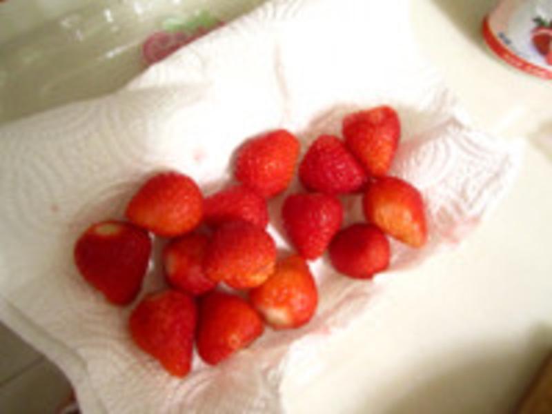 ��ݮ������ݮĽ˹��������