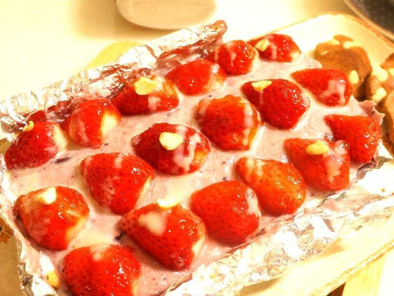 ��ݮ������ݮĽ˹��������