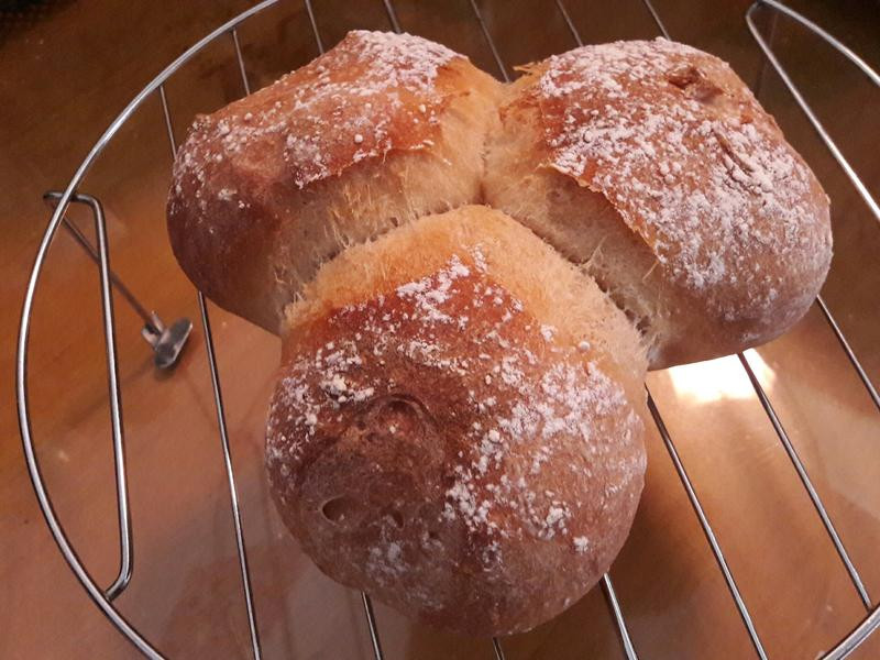 �����������������