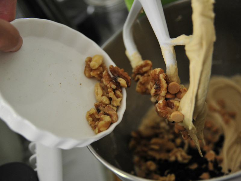 �����ɿ�����������������