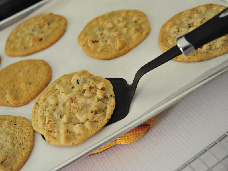 �����ɿ�����������������