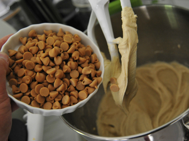 �����ɿ�����������������