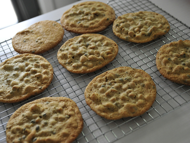 �����ɿ�����������������