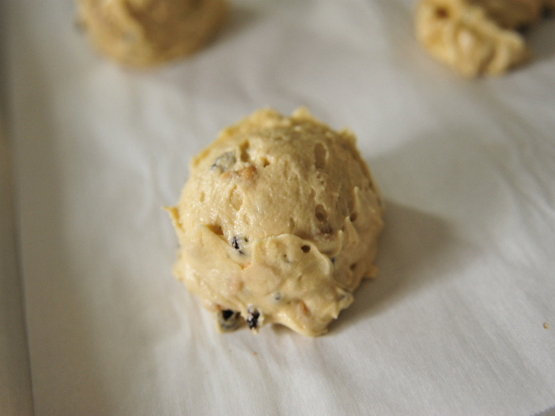 �����ɿ�����������������