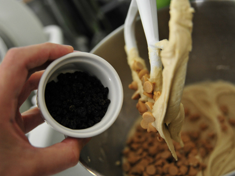 �����ɿ�����������������