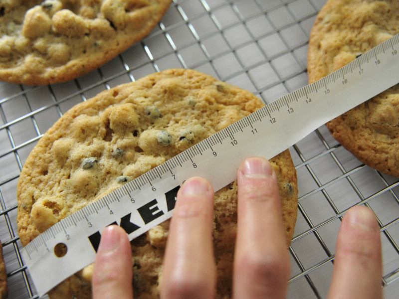 �����ɿ�����������������