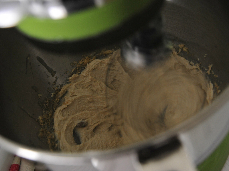 �����ɿ�����������������