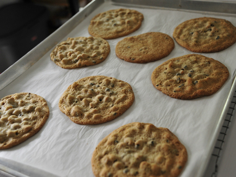 �����ɿ�����������������