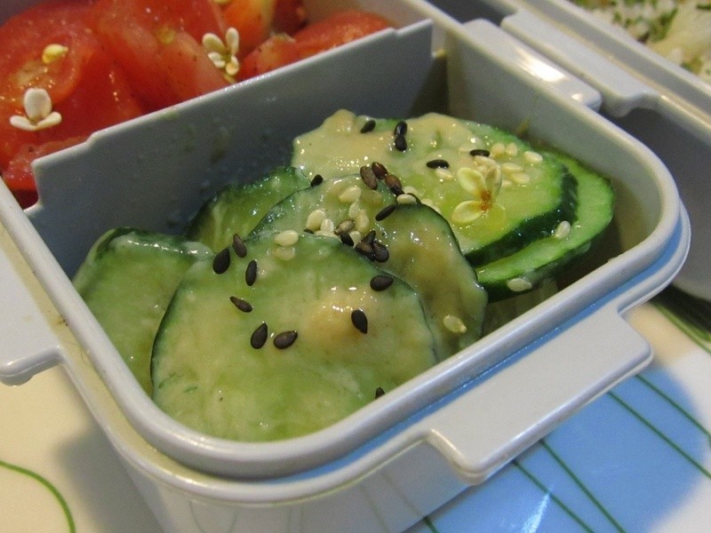 ζ���ZС�ƹϵ�����