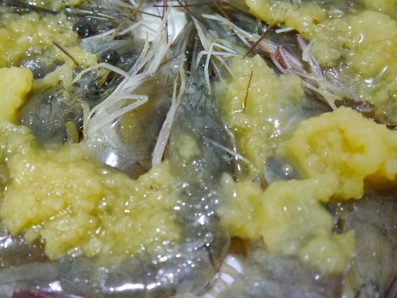 ����������Ϻ������