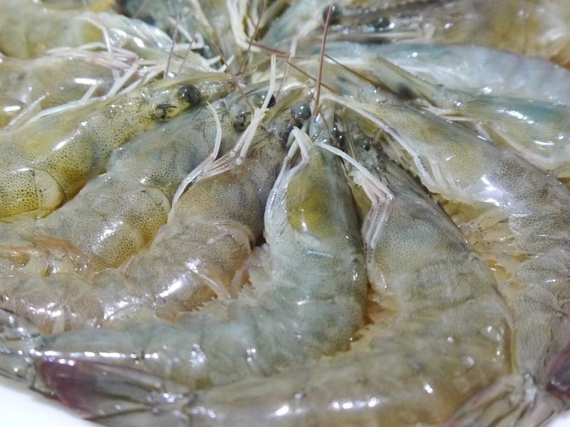 ����������Ϻ������