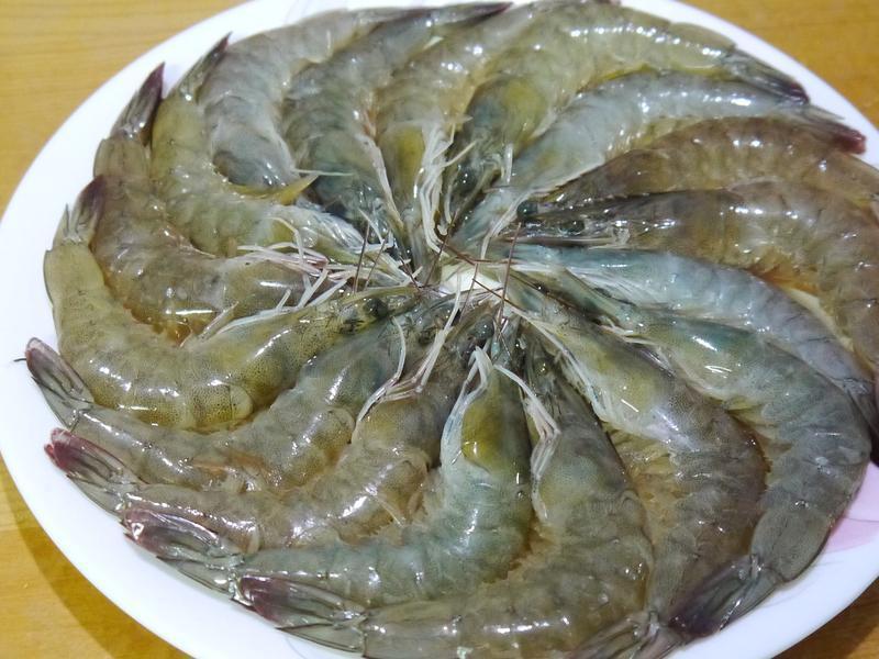 ����������Ϻ������