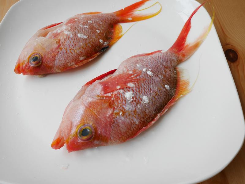 ���Ѷ�������������