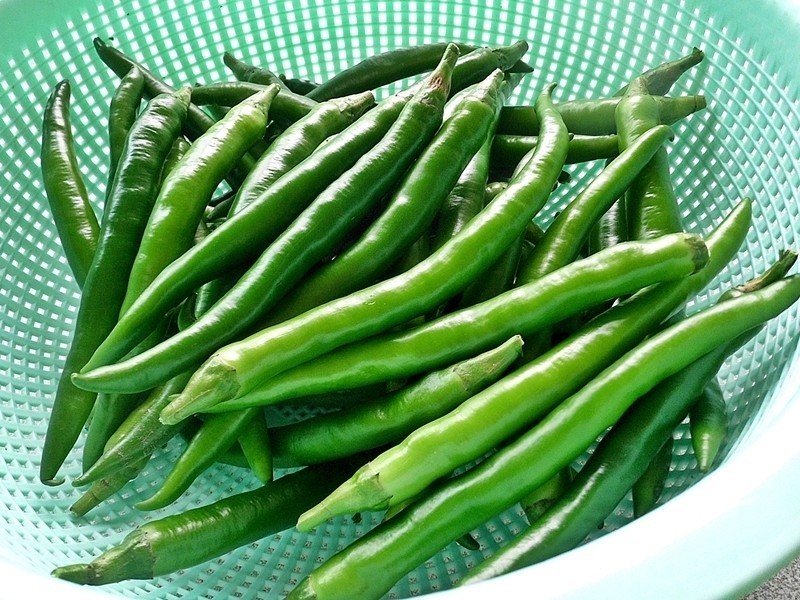 ��Ƥ����DIY������