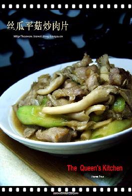 ˿��ƽ������Ƭ������