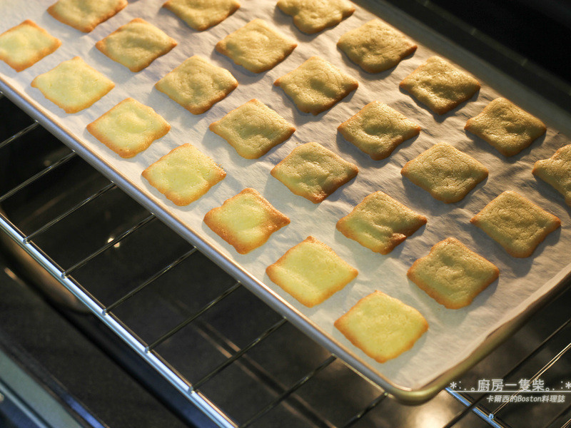 *���˽�*���ơ���ɫ���ˡ��ɿ�������!������