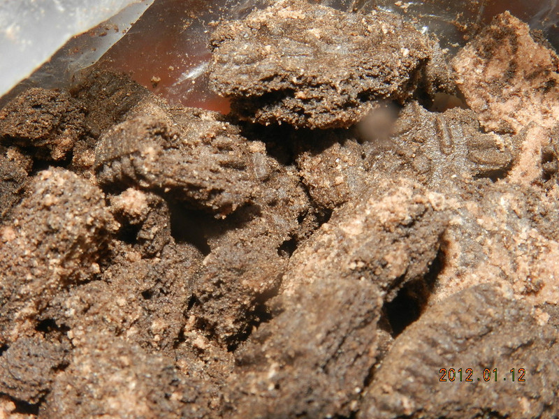 ΢Ц�ɿ������ɵ���(Ĩ��춹����)������