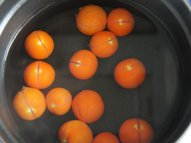 �����Сެ�ѵ�����