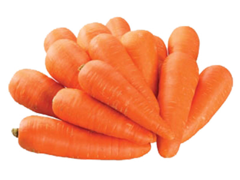 ���⽴���������